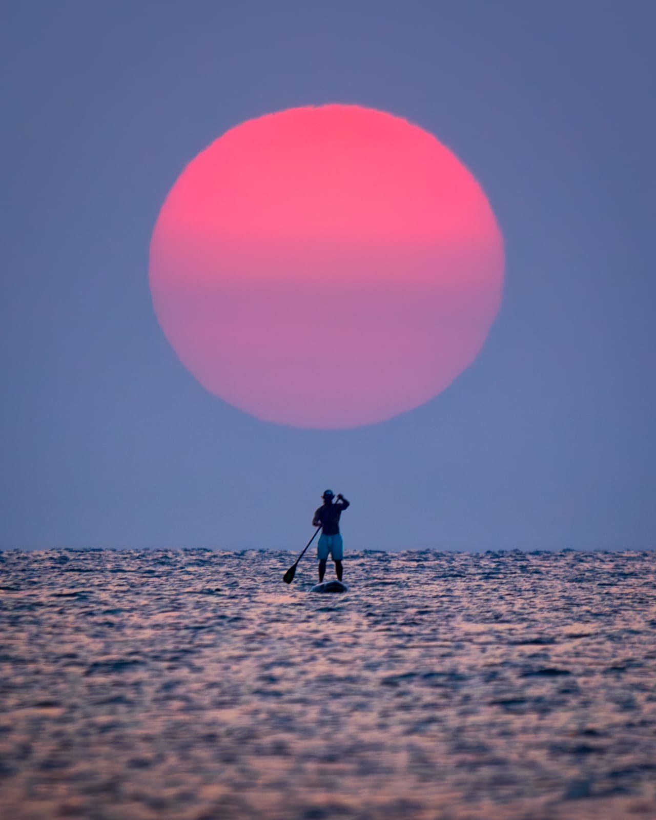 Persona sobre una tabla de paddle surf bajo un gran sol rosado