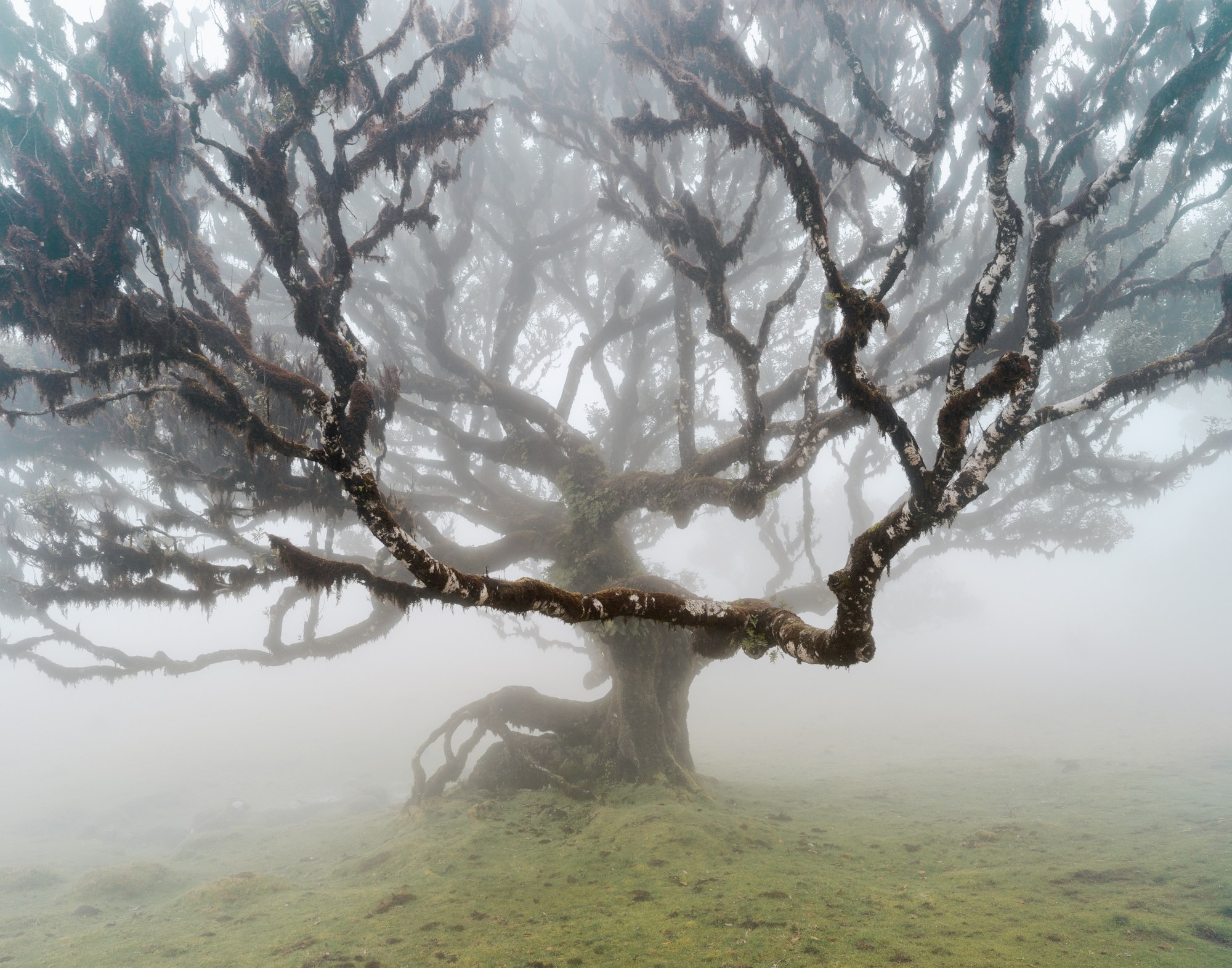Fotografía de paisaje de Héctor Guerra