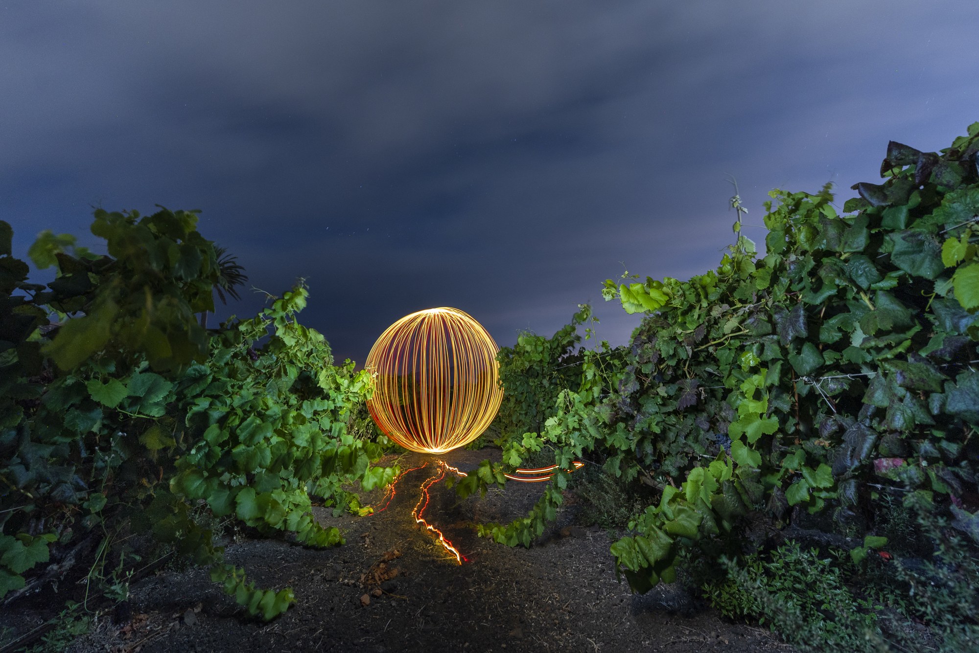 Esfera de luz entre viñedos de La Geria