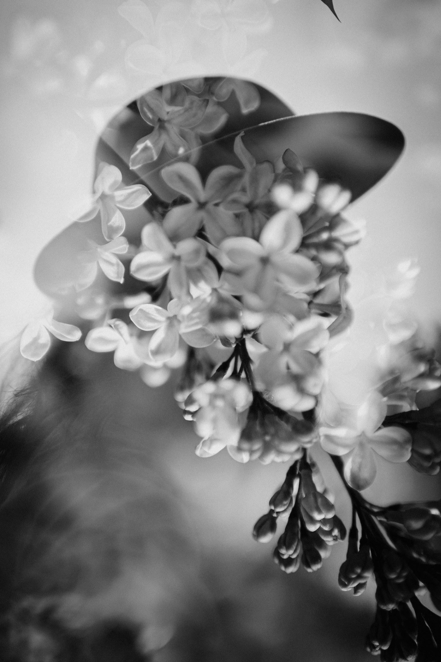 Composición fotográfica en blanco y negro con flores y una silueta humana